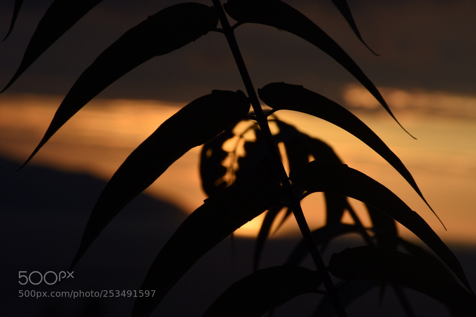 Nikon D7200 sample photo. Img photography