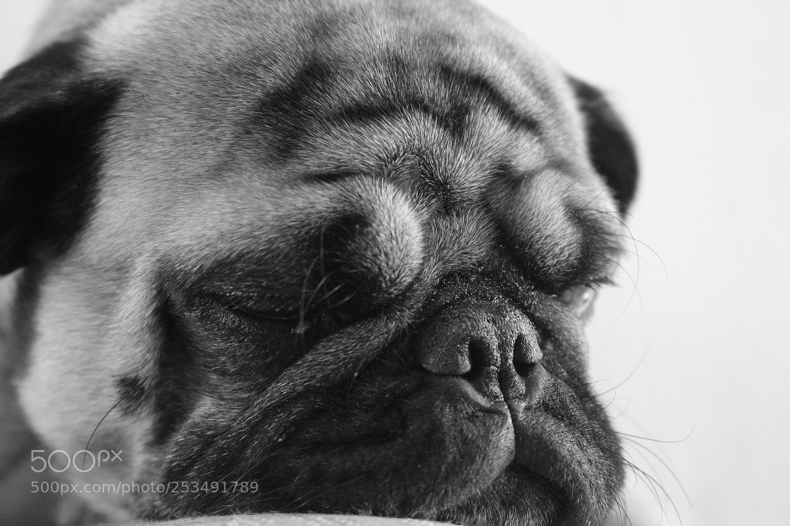 Canon EOS 700D (EOS Rebel T5i / EOS Kiss X7i) sample photo. Descanso photography