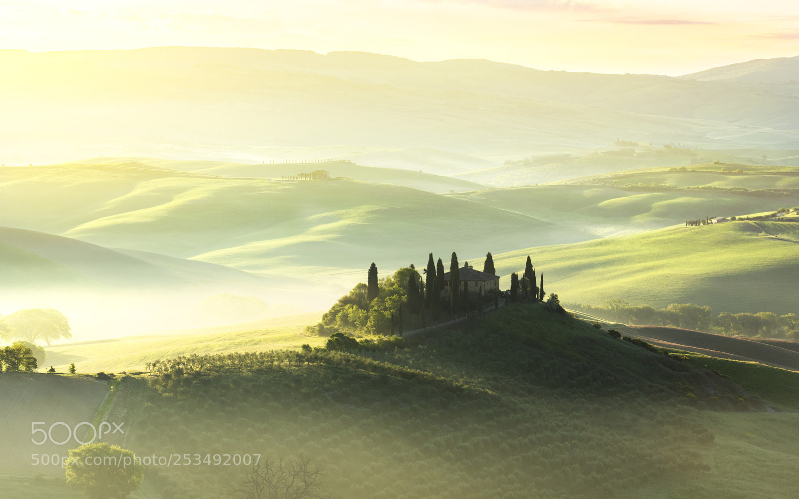 Nikon D810 sample photo. Tuscan dream photography