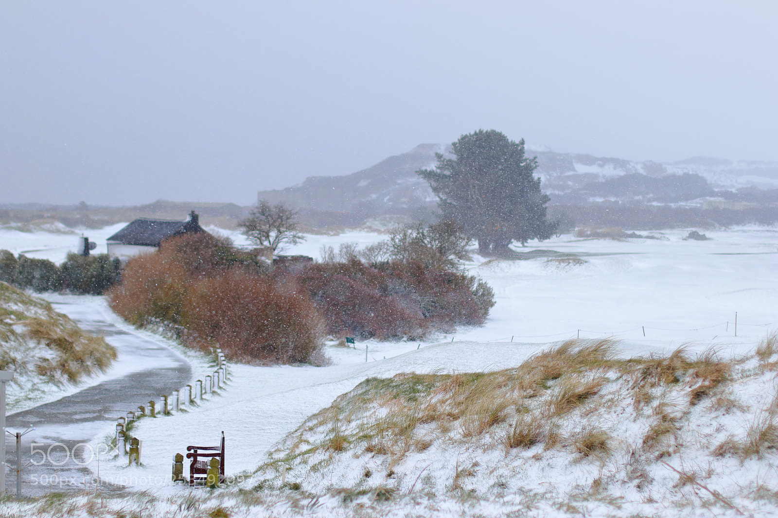 Canon EOS 80D sample photo. Golf course under snow photography
