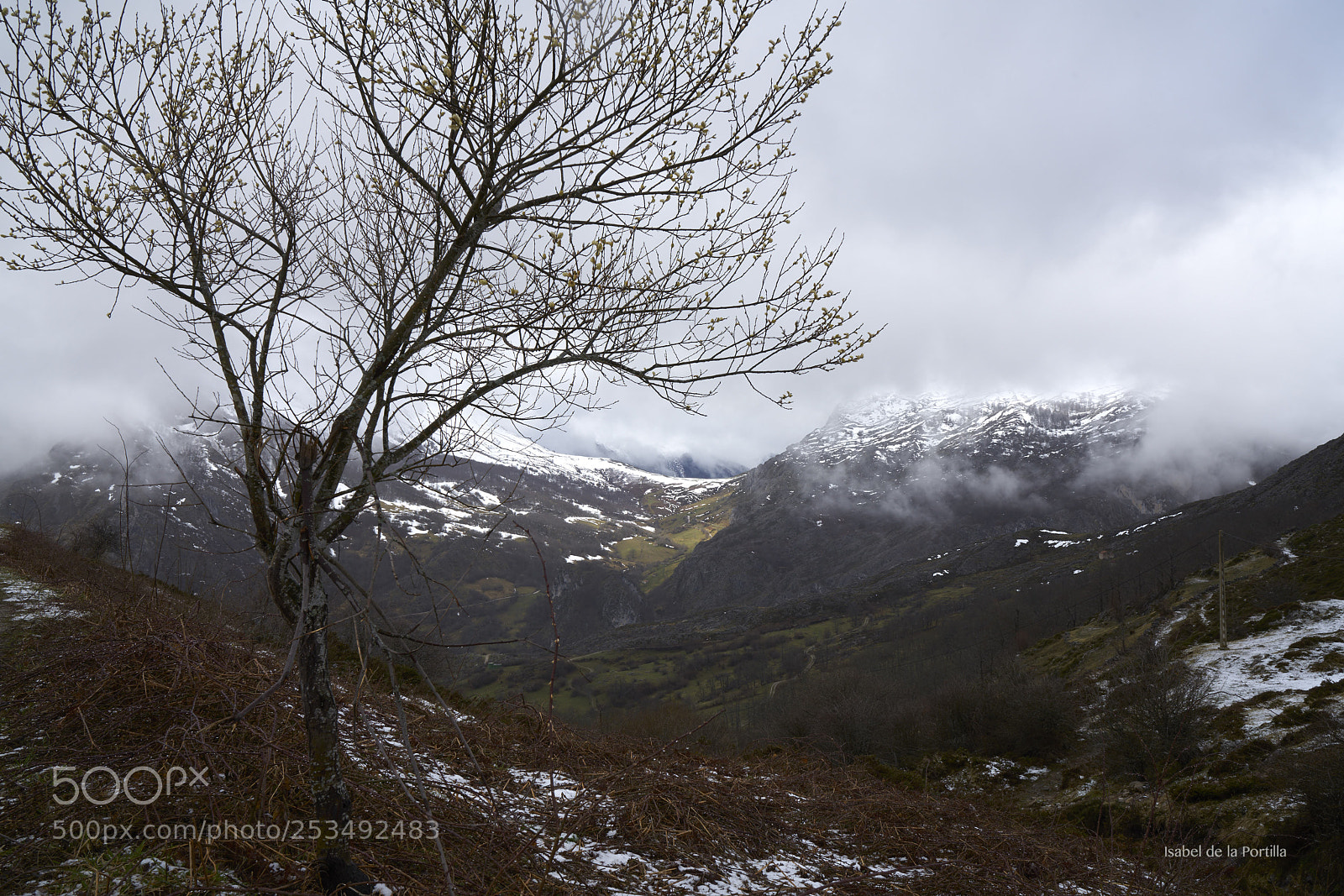 Sony a7R II sample photo. Fog and snow, early photography
