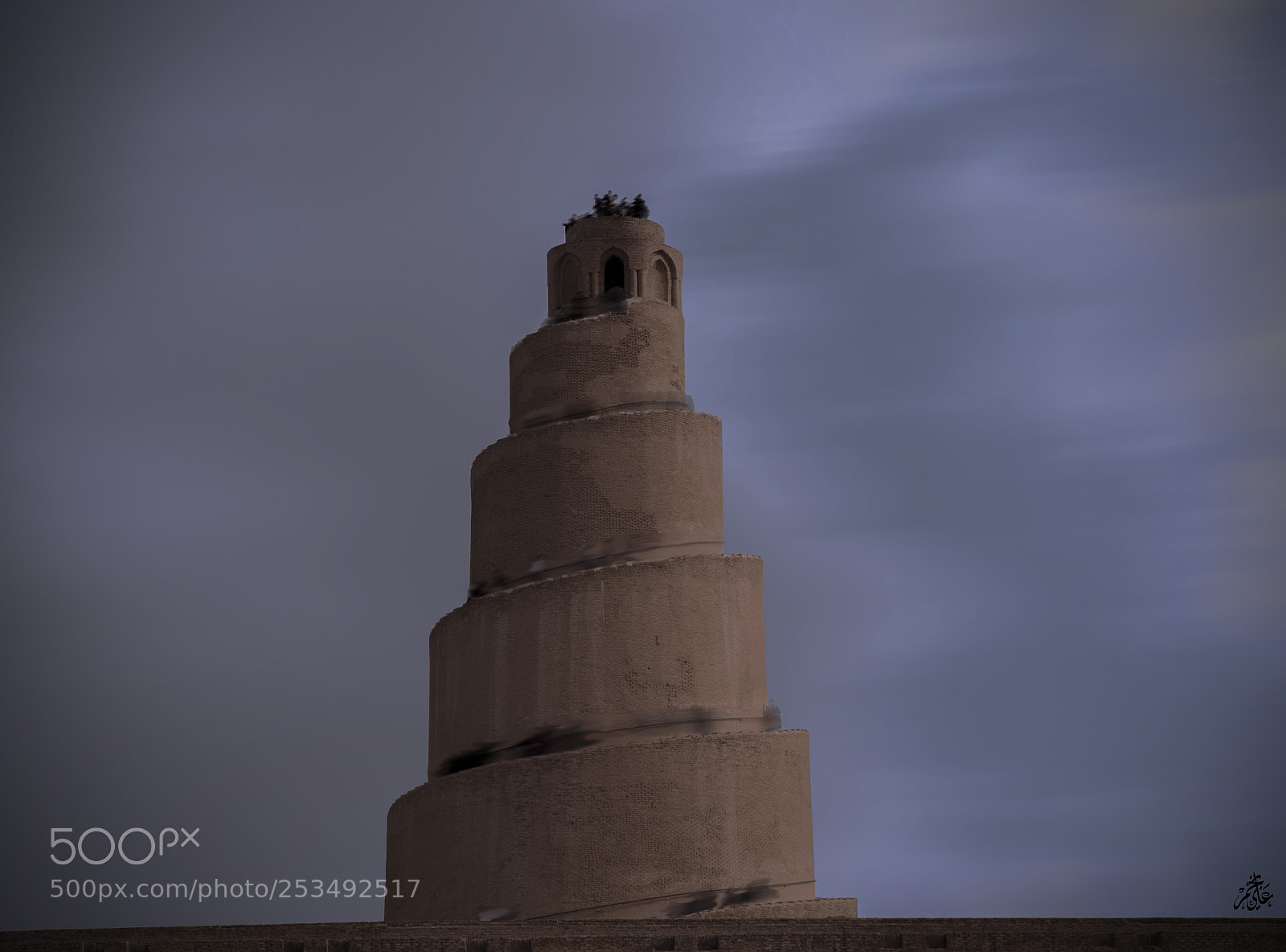 Nikon D610 sample photo. Untitled photography