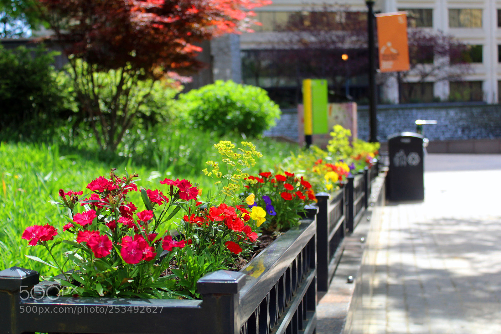 Canon EOS 1300D (EOS Rebel T6 / EOS Kiss X80) sample photo. Flowerbox photography