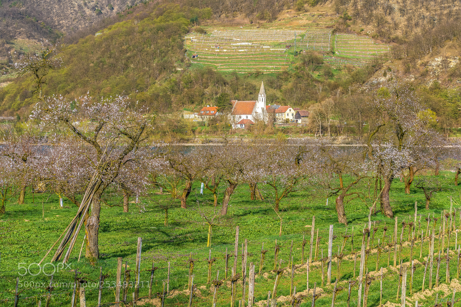 Sony a7R II sample photo. This is the wachau photography
