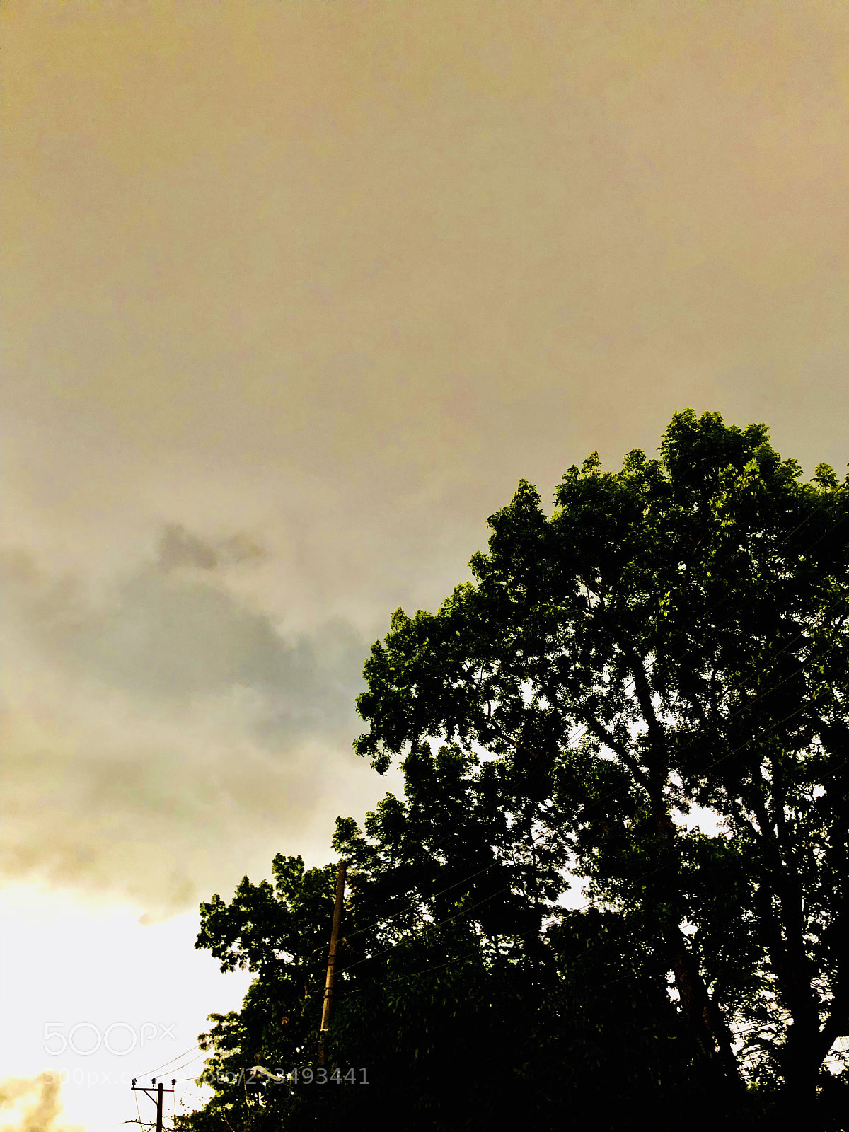 Apple iPhone X sample photo. Weather photography