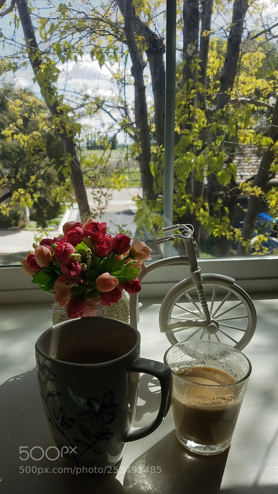 Samsung Galaxy S7 Edge sample photo. Window to dream world photography