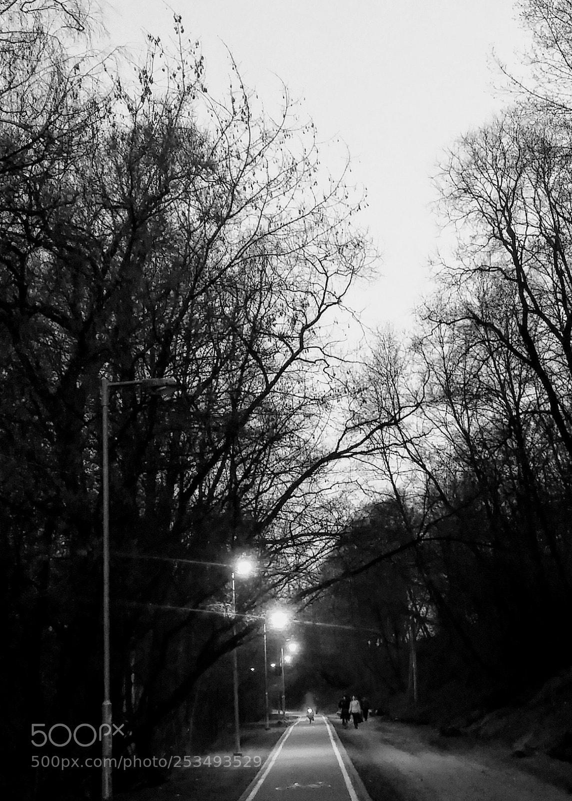 LG G3 sample photo. Walking photography