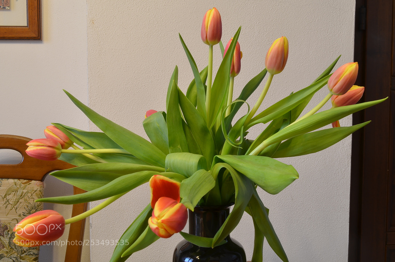 Nikon D5100 sample photo. Tulip photography