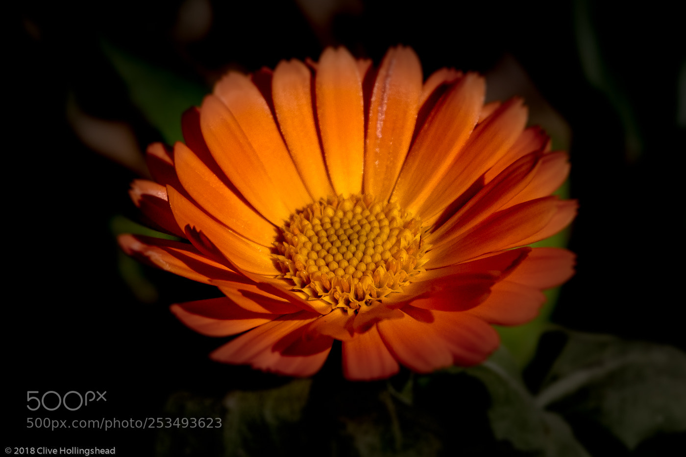 Canon EOS 7D Mark II sample photo. Here comes the sun photography