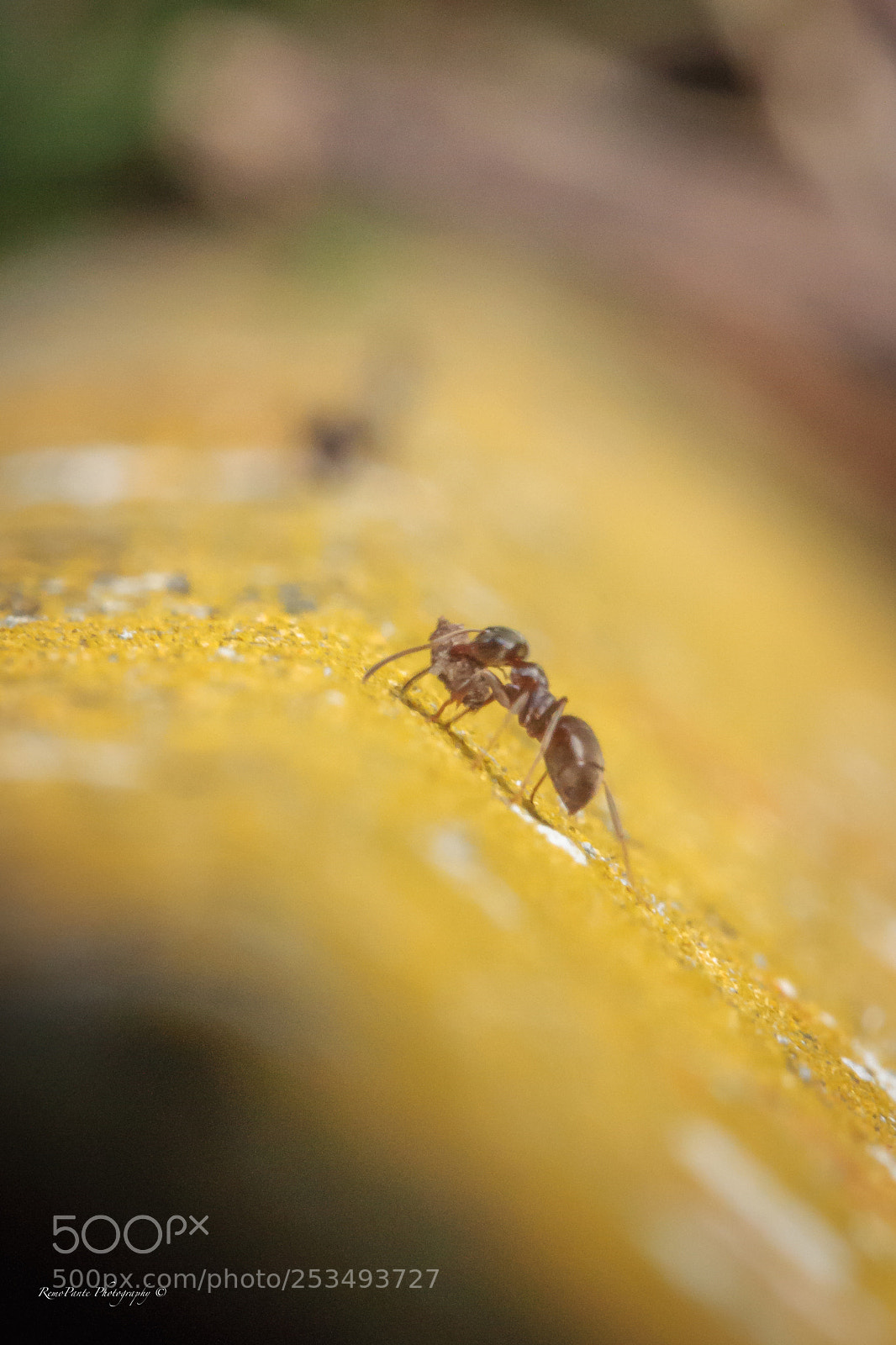 Canon EOS 7D sample photo. On the way home photography