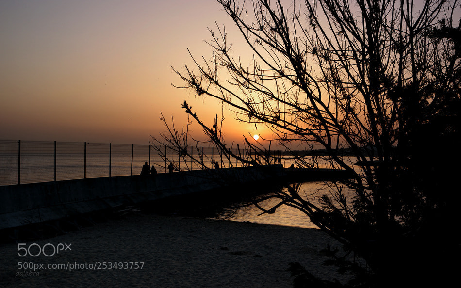 Samsung NX1 sample photo. ... photography
