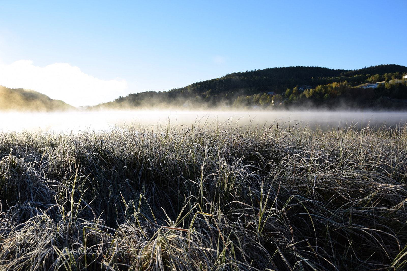 Nikon D5300 sample photo. Gjerstad photography