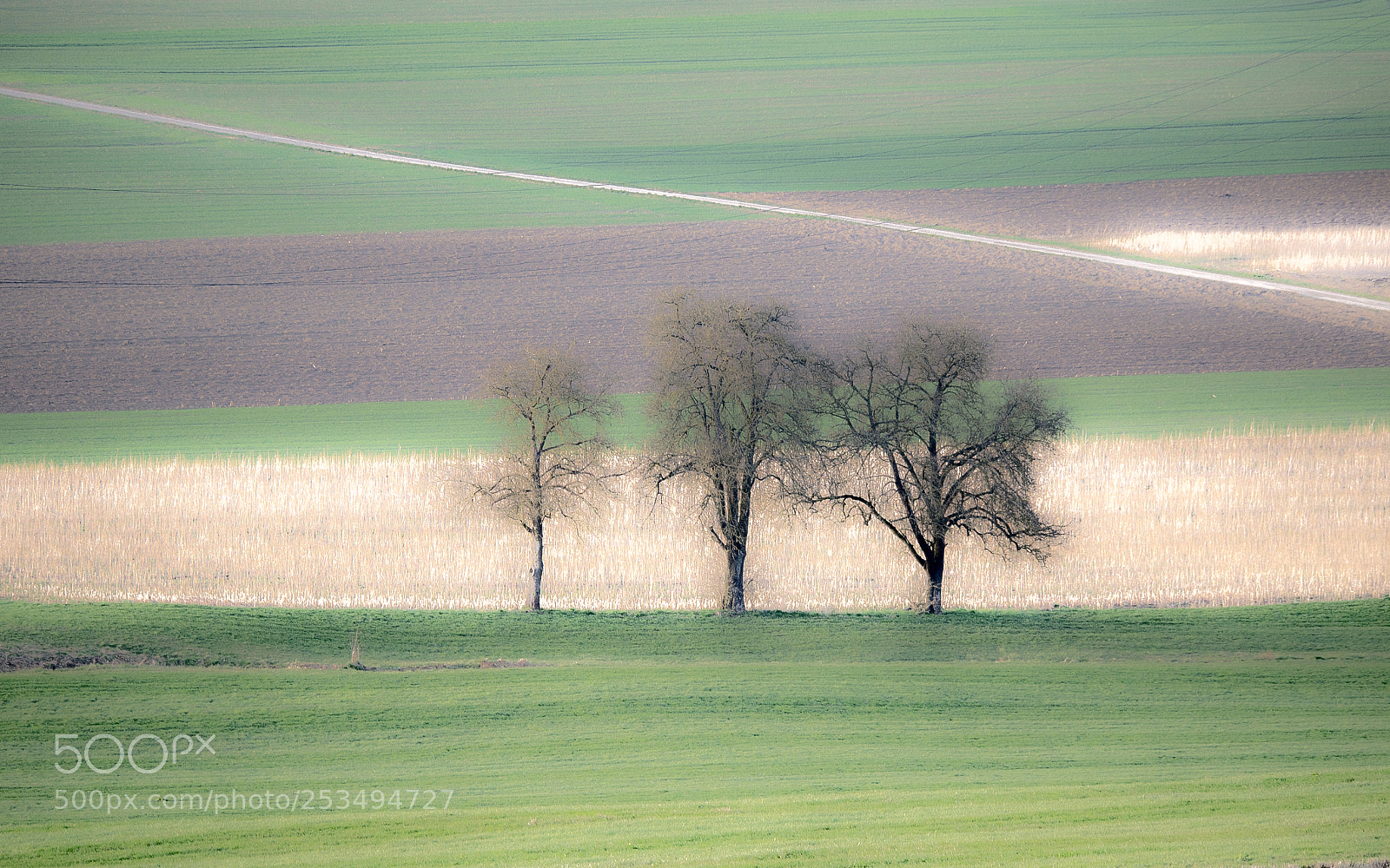 Panasonic DMC-G70 sample photo. Spring landscape photography