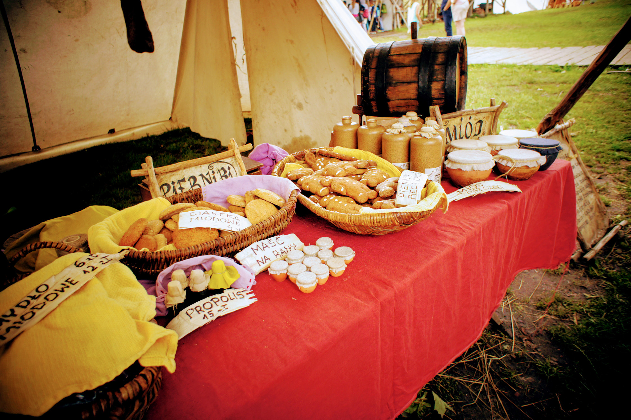 Sony Alpha NEX-3 sample photo. Slavs and vikings festival, wolin photography