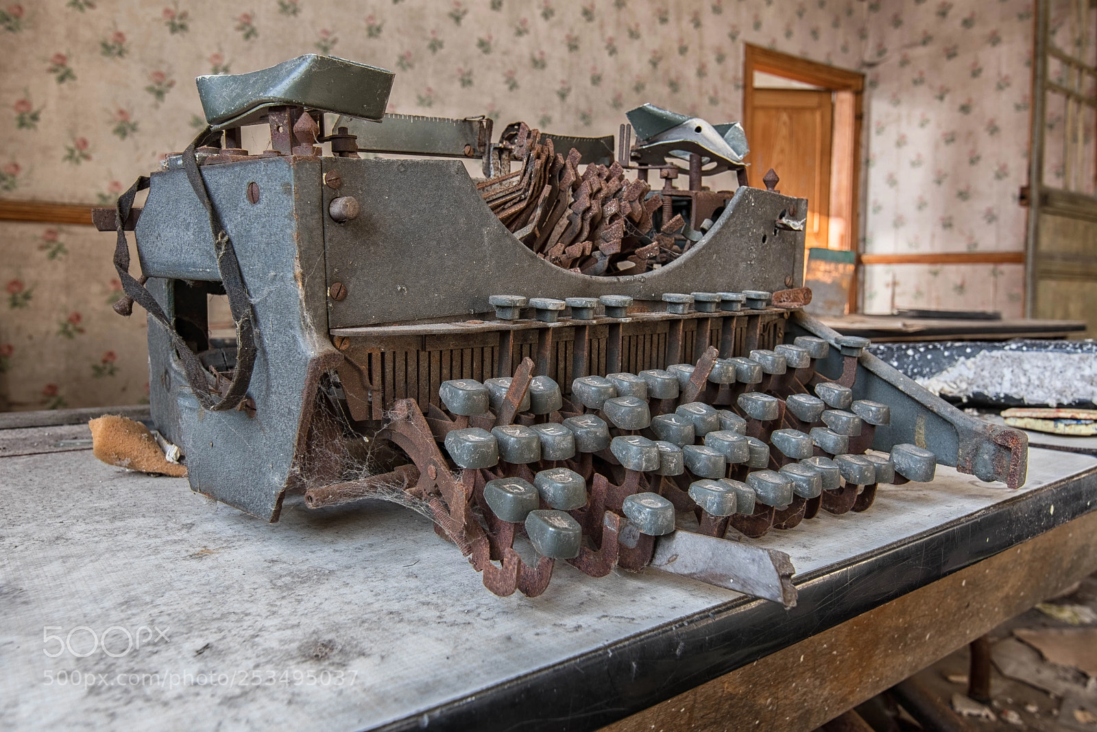 Nikon D500 sample photo. Typewriter photography