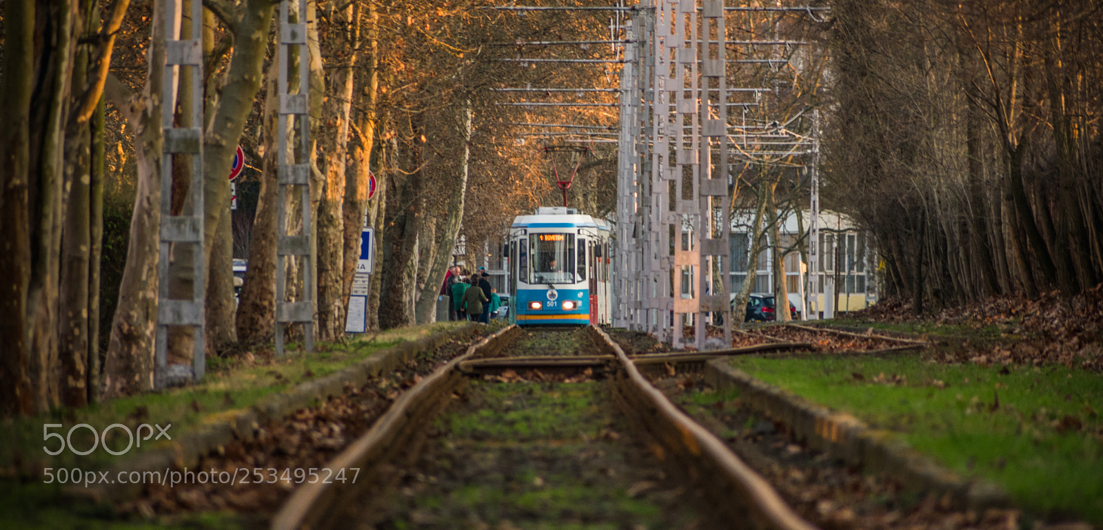 Nikon D3400 sample photo. Tram photography