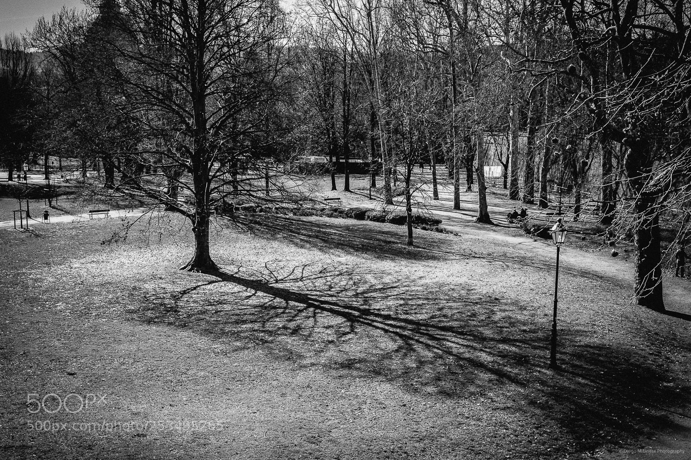 Fujifilm X-E1 sample photo. Shadow photography