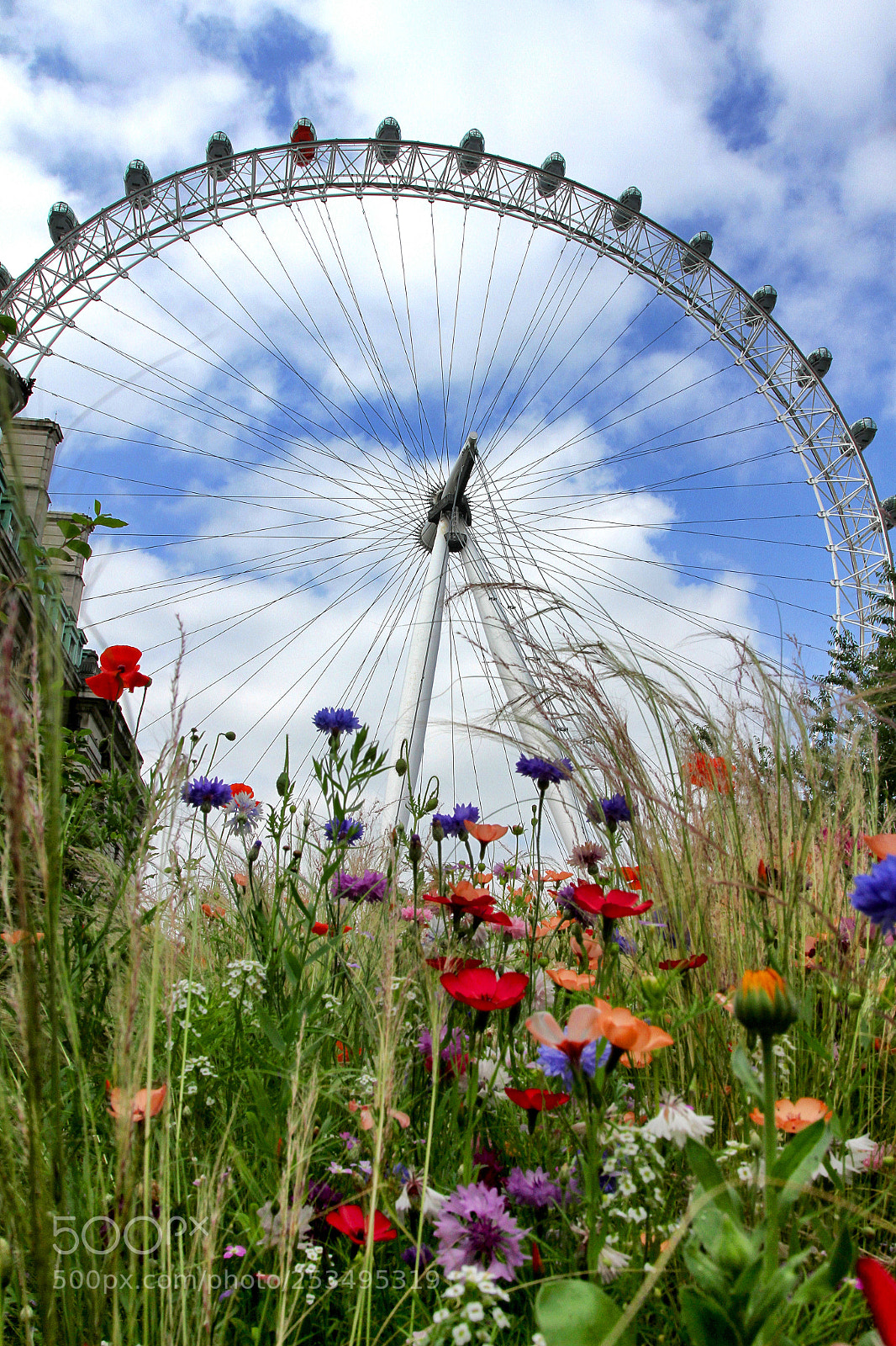 Canon EOS 7D sample photo. London eye flowers photography