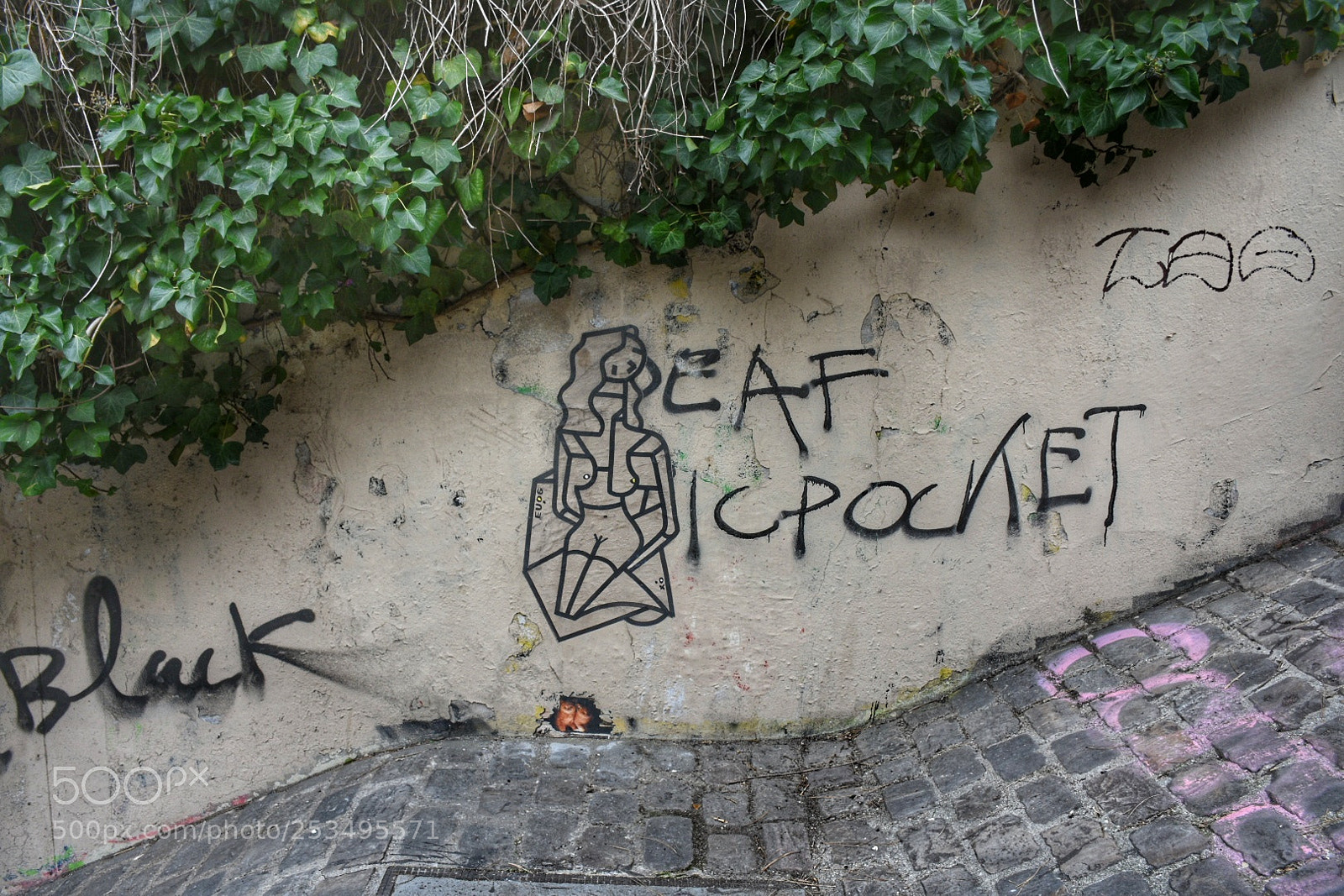 Nikon D7200 sample photo. Artecallejero streetart montmartre paris photography
