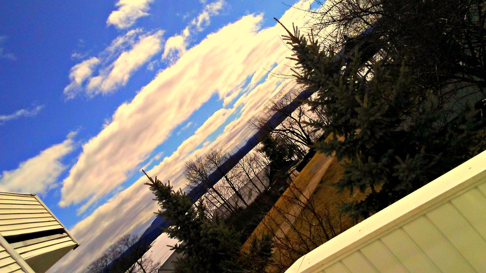 LG TREASURE sample photo. A photography