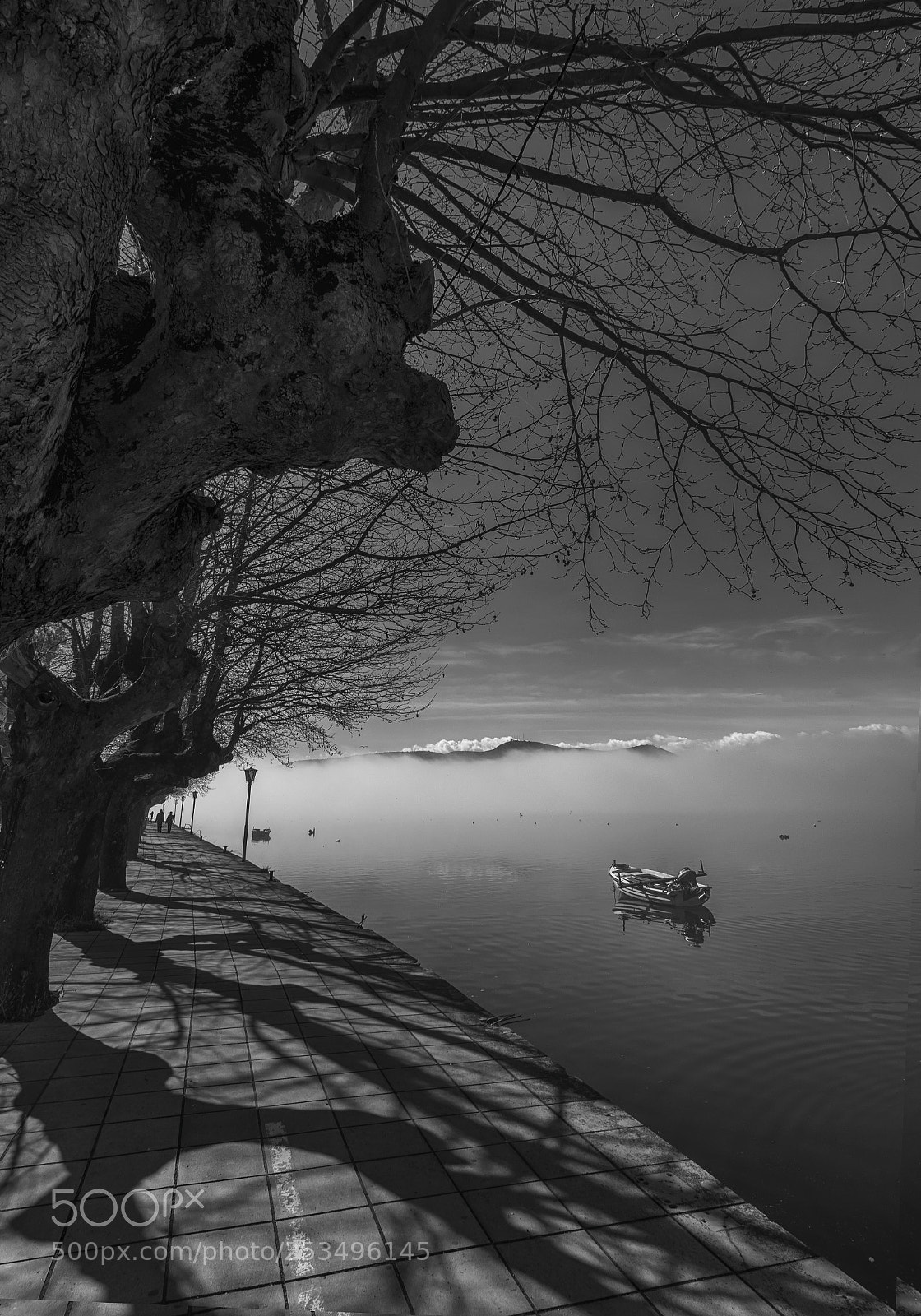Nikon D5300 sample photo. Shadows in the mist photography