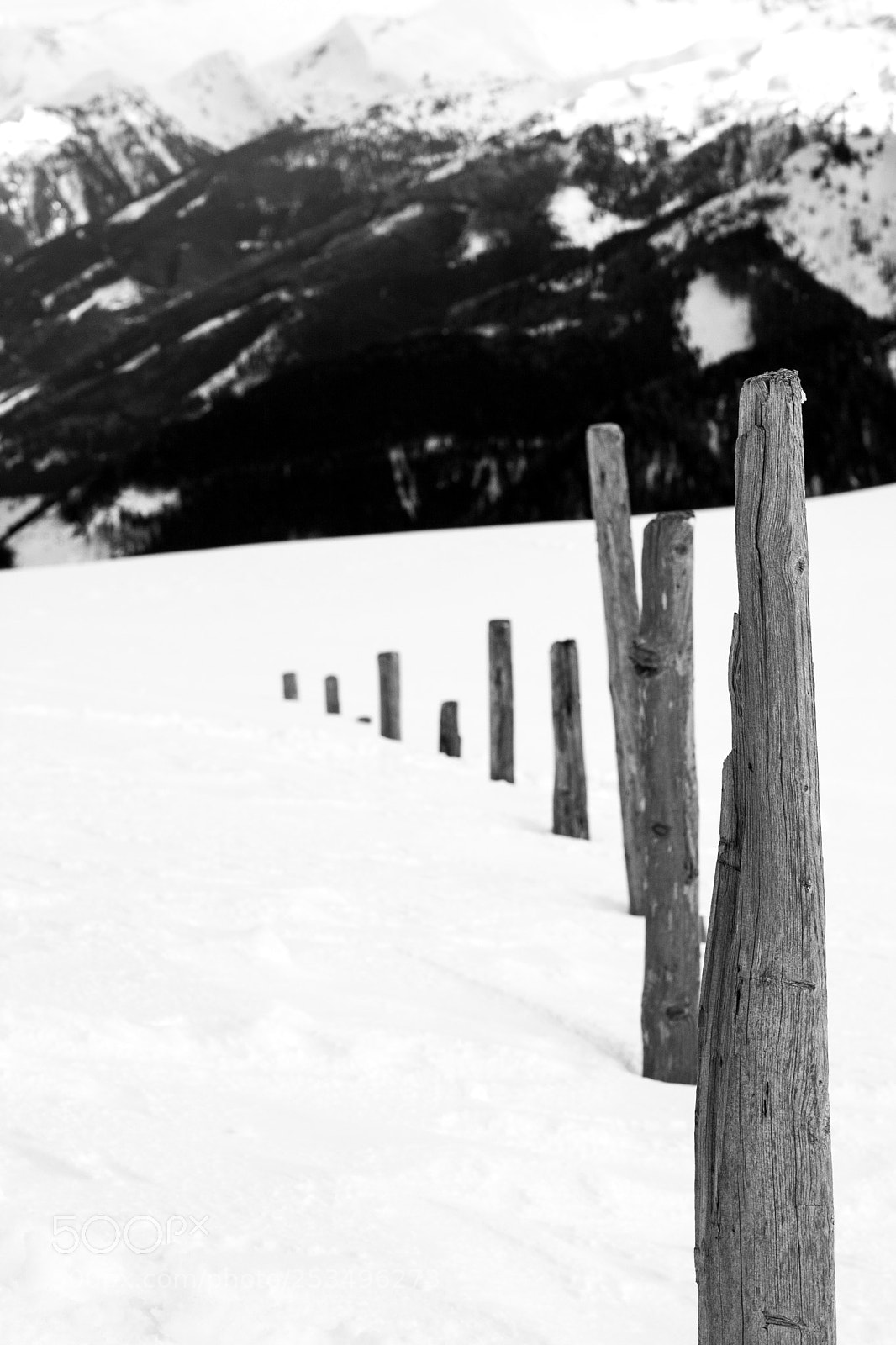 Canon EOS 10D sample photo. Ffc aacacaf photography