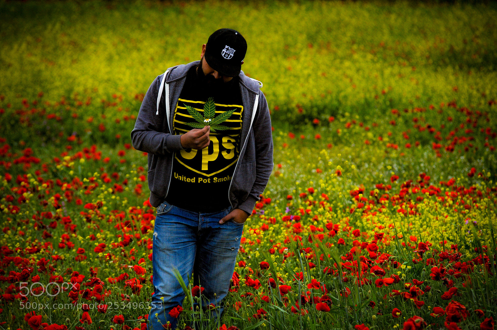 Nikon D700 sample photo. Untitled photography
