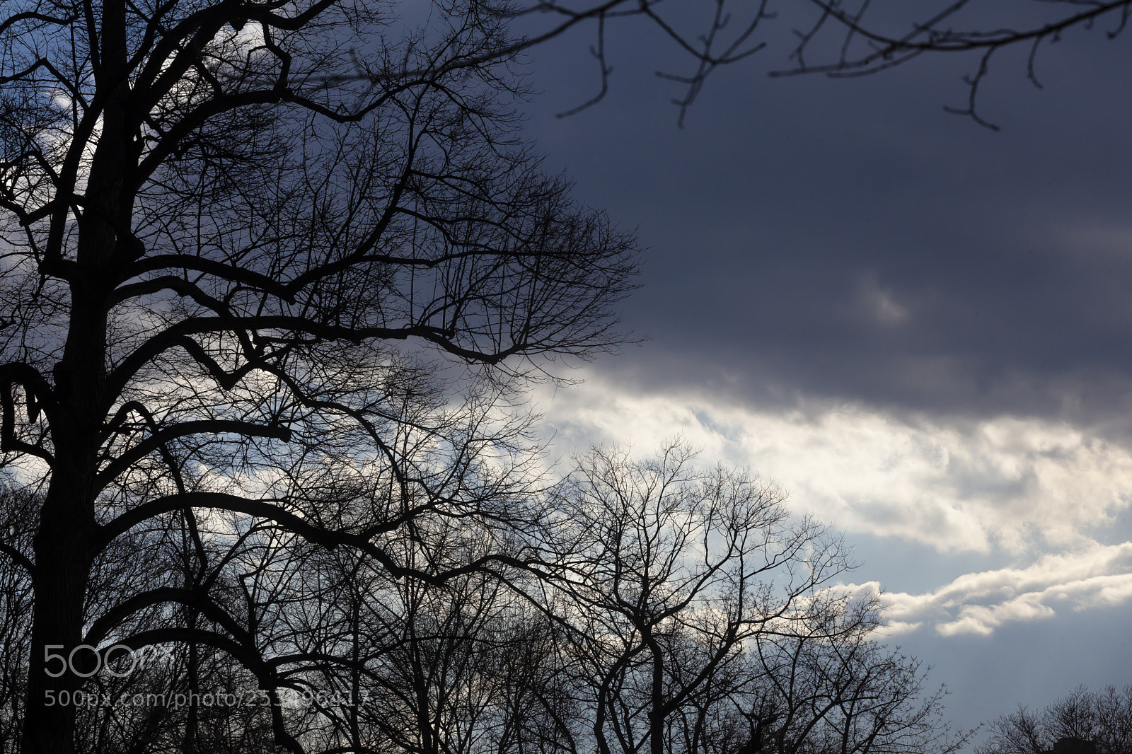 Canon EOS 5D Mark II sample photo. Dramatic sky clouds and photography