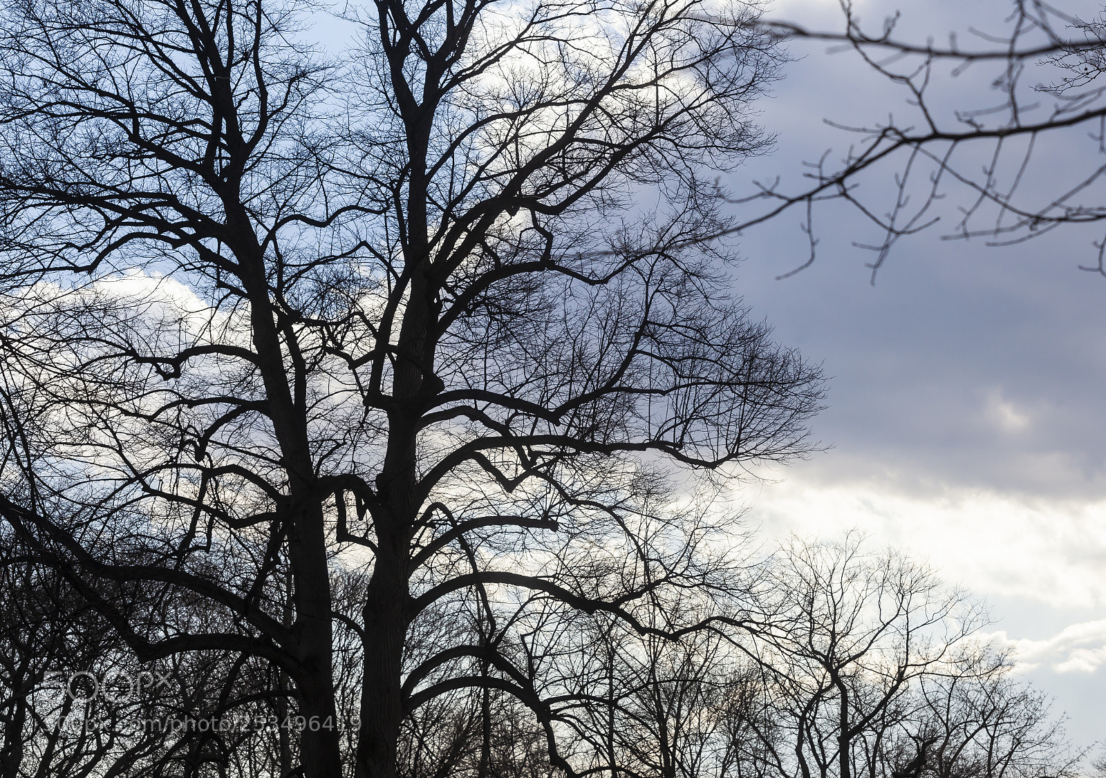 Canon EOS 5D Mark II sample photo. Dramatic sky clouds and photography