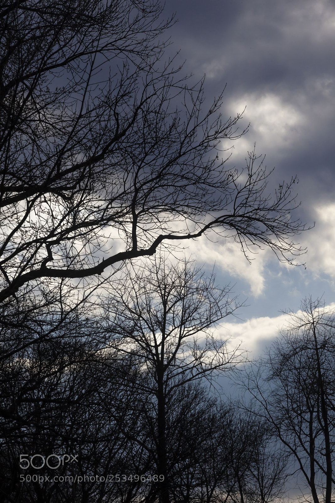 Canon EOS 5D Mark II sample photo. Dramatic sky clouds and photography