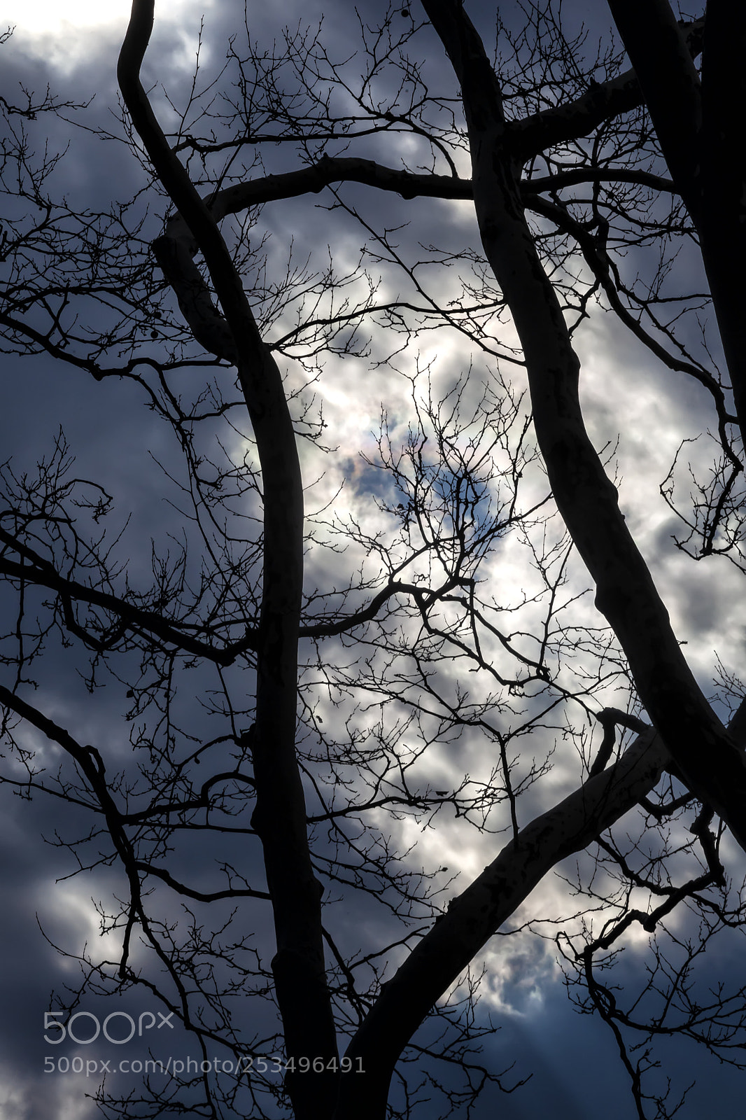 Canon EOS 5D Mark II sample photo. Dramatic sky clouds and photography