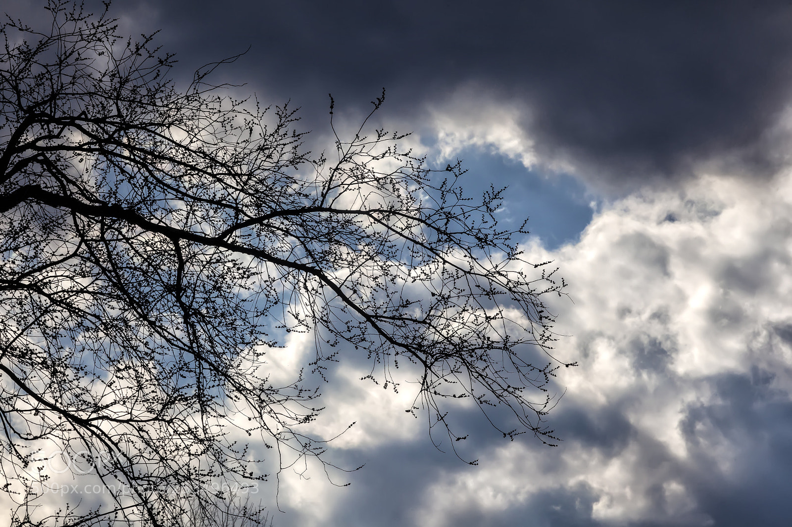 Canon EOS 5D Mark II sample photo. Dramatic sky clouds and photography