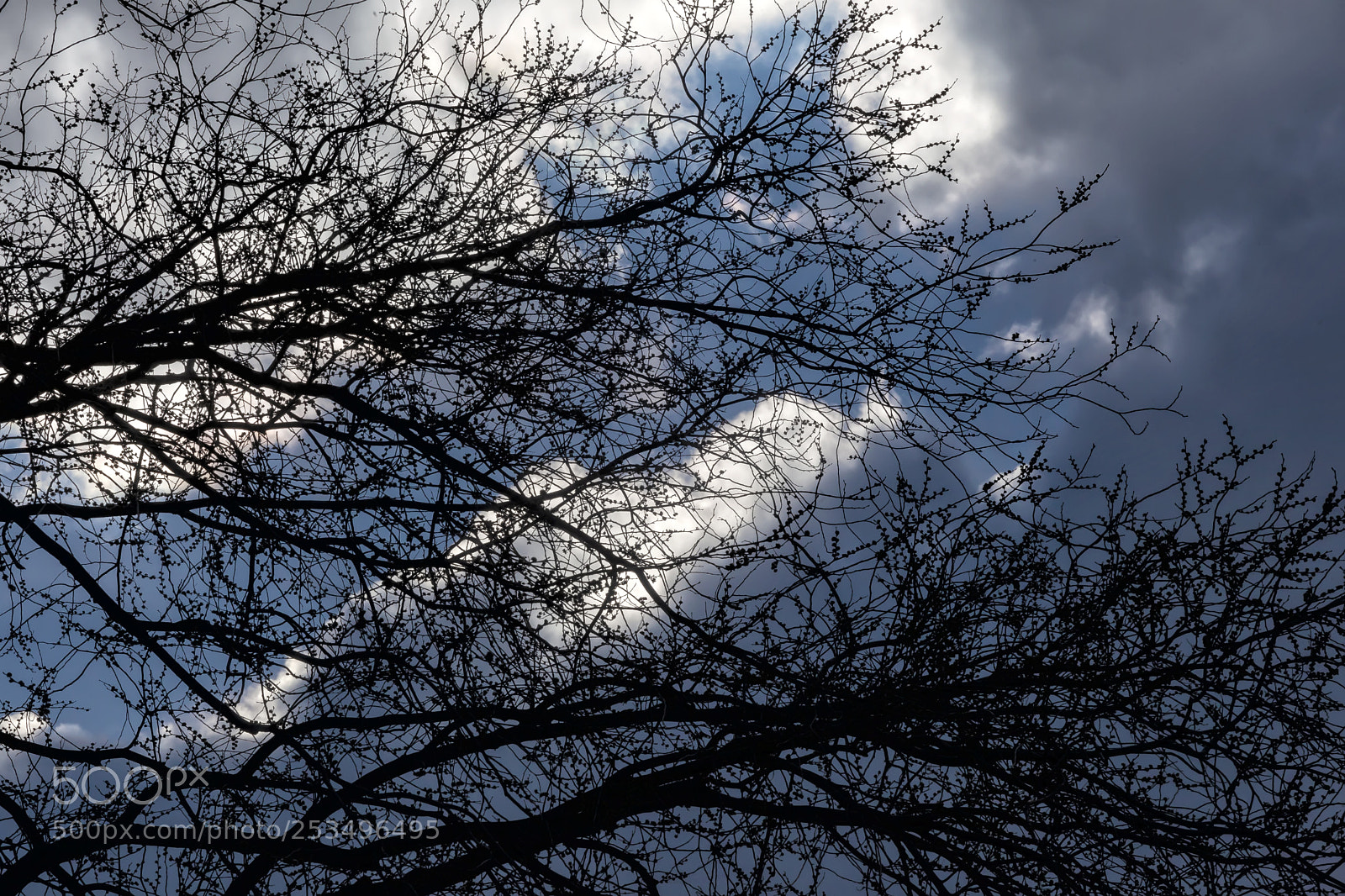 Canon EOS 5D Mark II sample photo. Dramatic sky clouds and photography