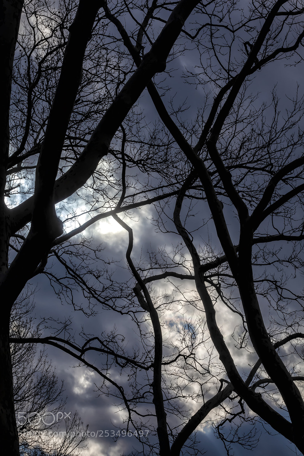 Canon EOS 5D Mark II sample photo. Dramatic sky clouds and photography