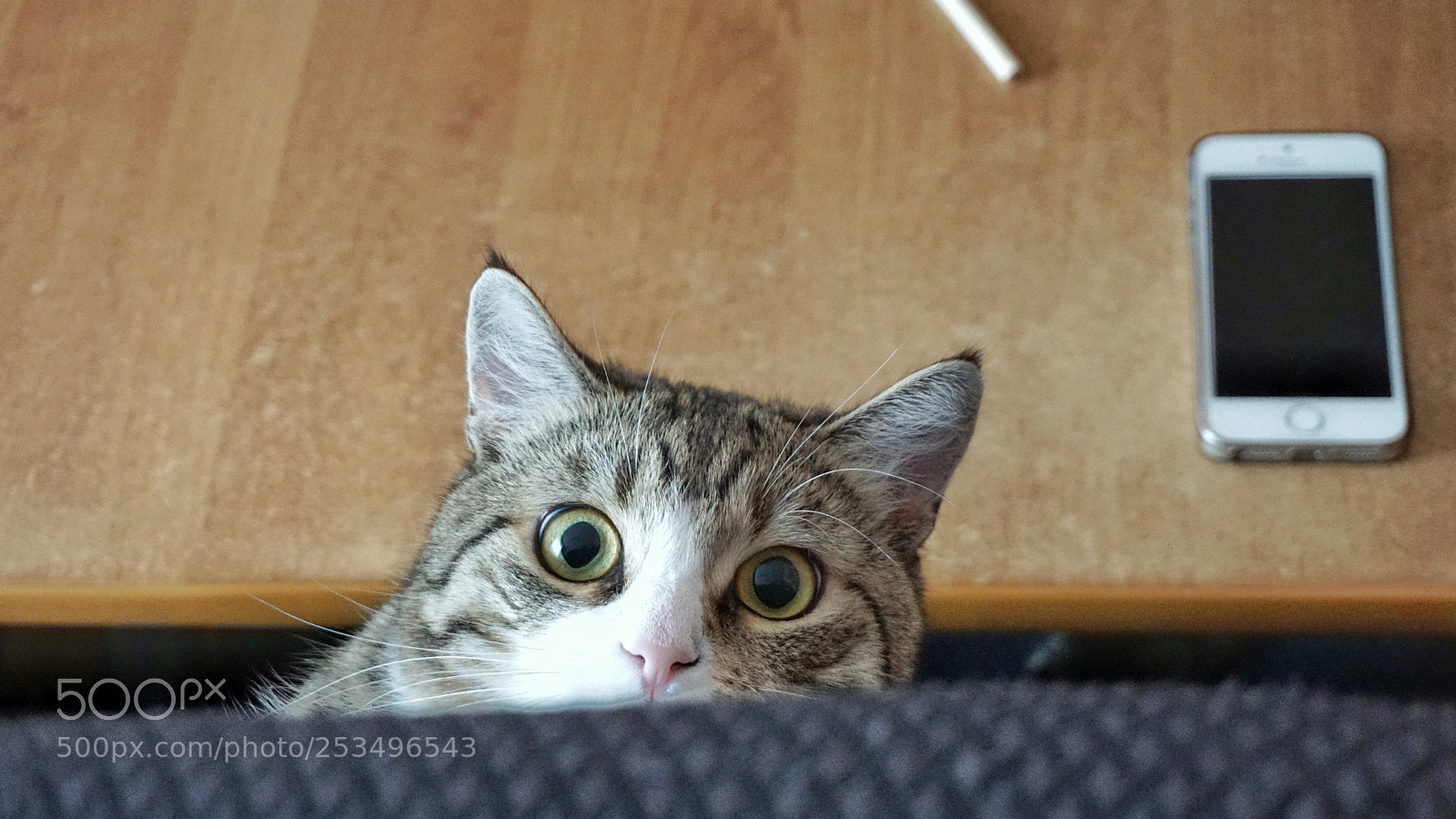 Sony a6000 sample photo. What? ) photography