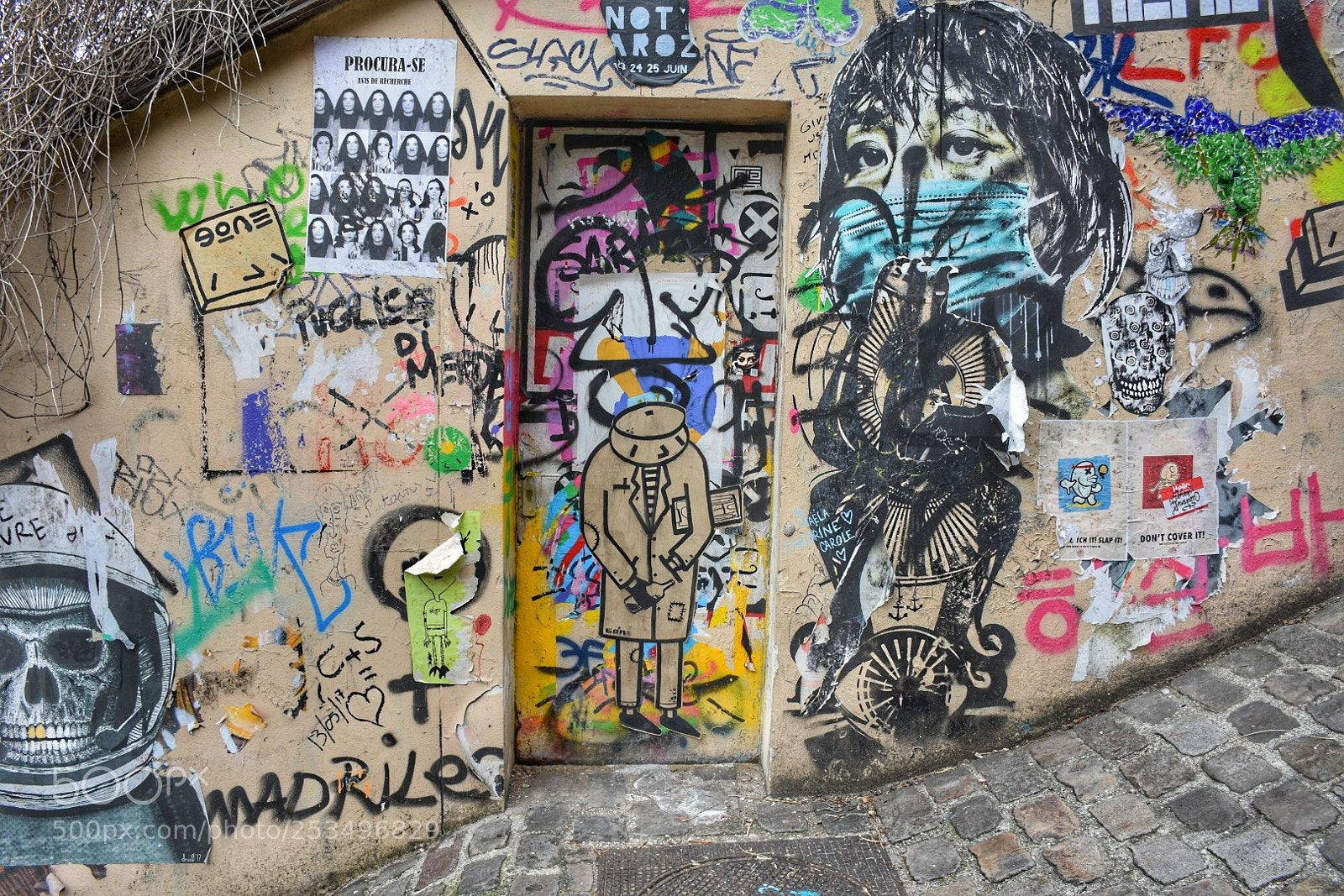 Nikon D7200 sample photo. Artecallejero streetart montmartre paris photography
