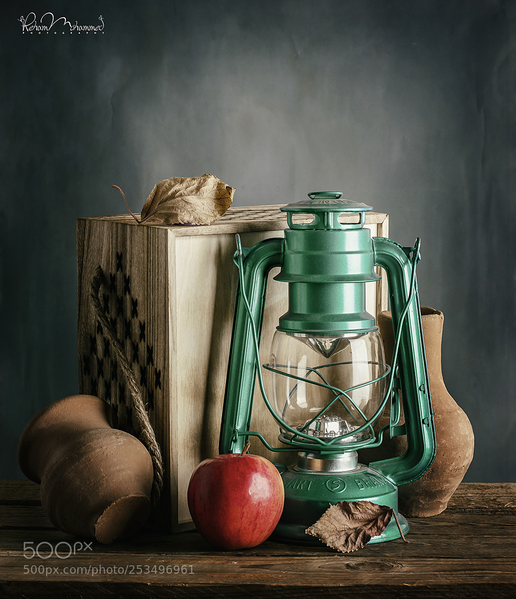 Nikon D3200 sample photo. 0048.jpg photography