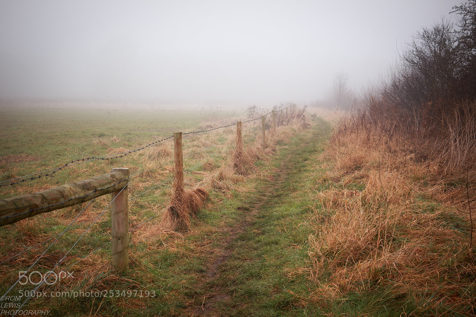 Canon EOS 70D sample photo. Winter walks photography