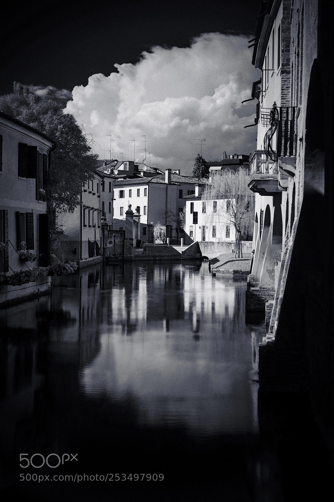 Sony a7 II sample photo. Treviso photography