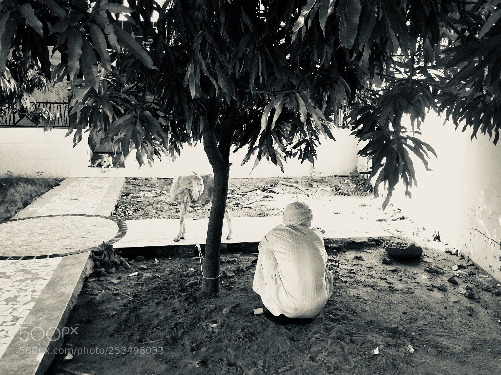 Apple iPhone 6 sample photo. The man in white photography