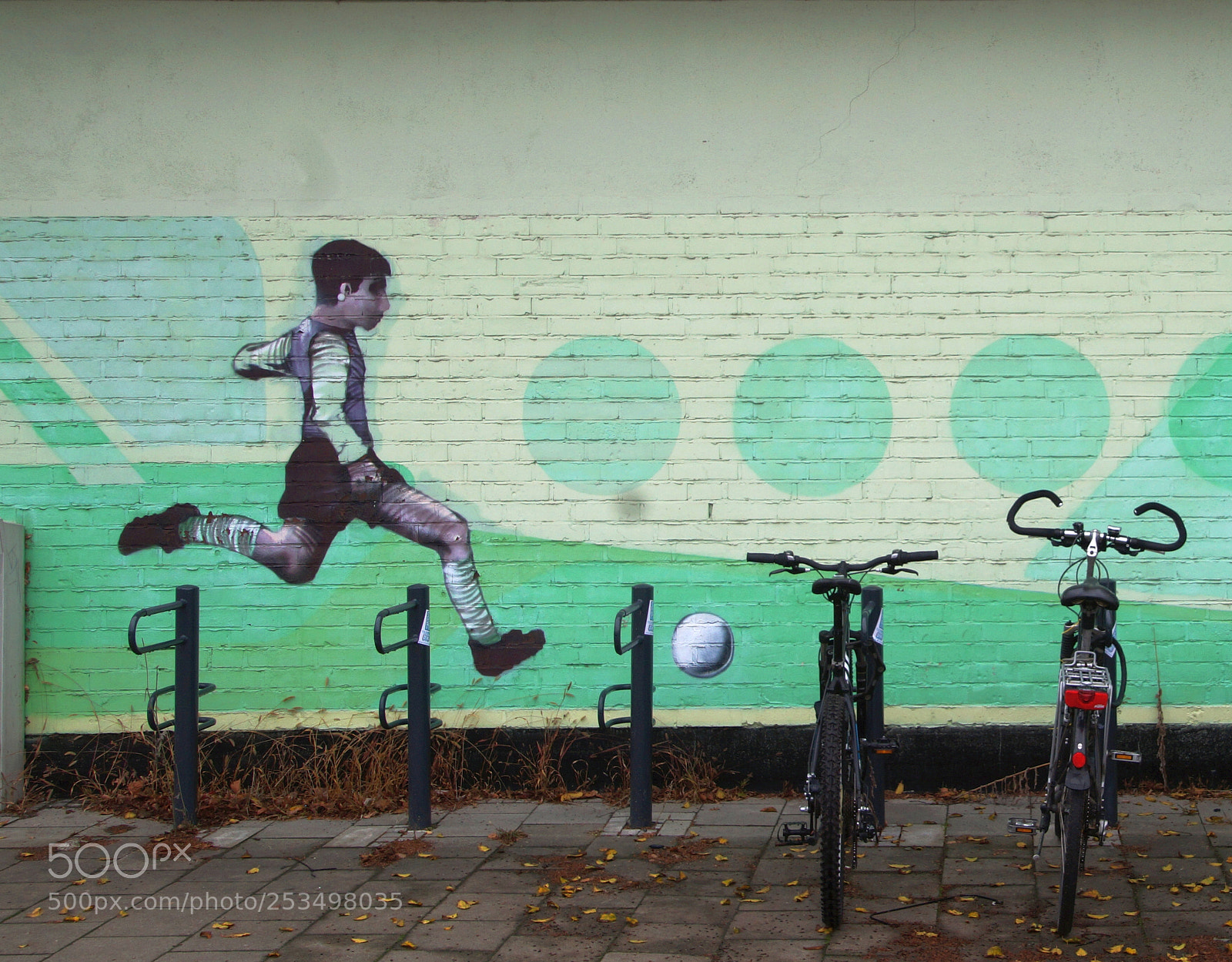 Sony SLT-A58 sample photo. Football photography