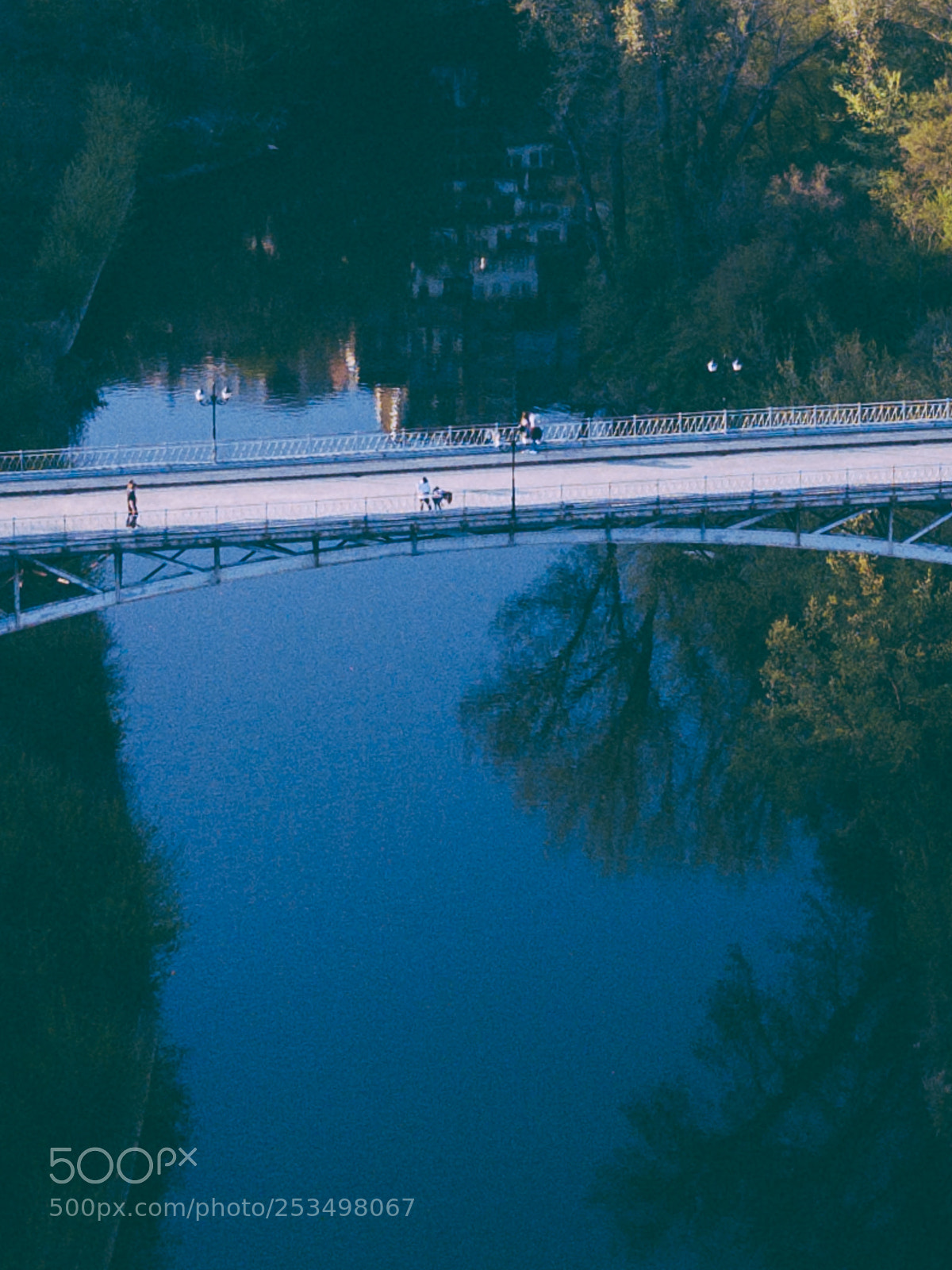 DJI FC220 sample photo. Amore photography
