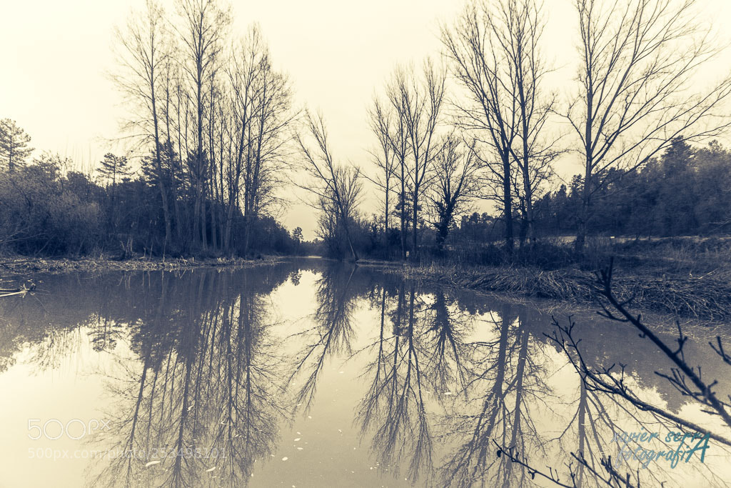 Canon EOS 70D sample photo. Reflejos photography