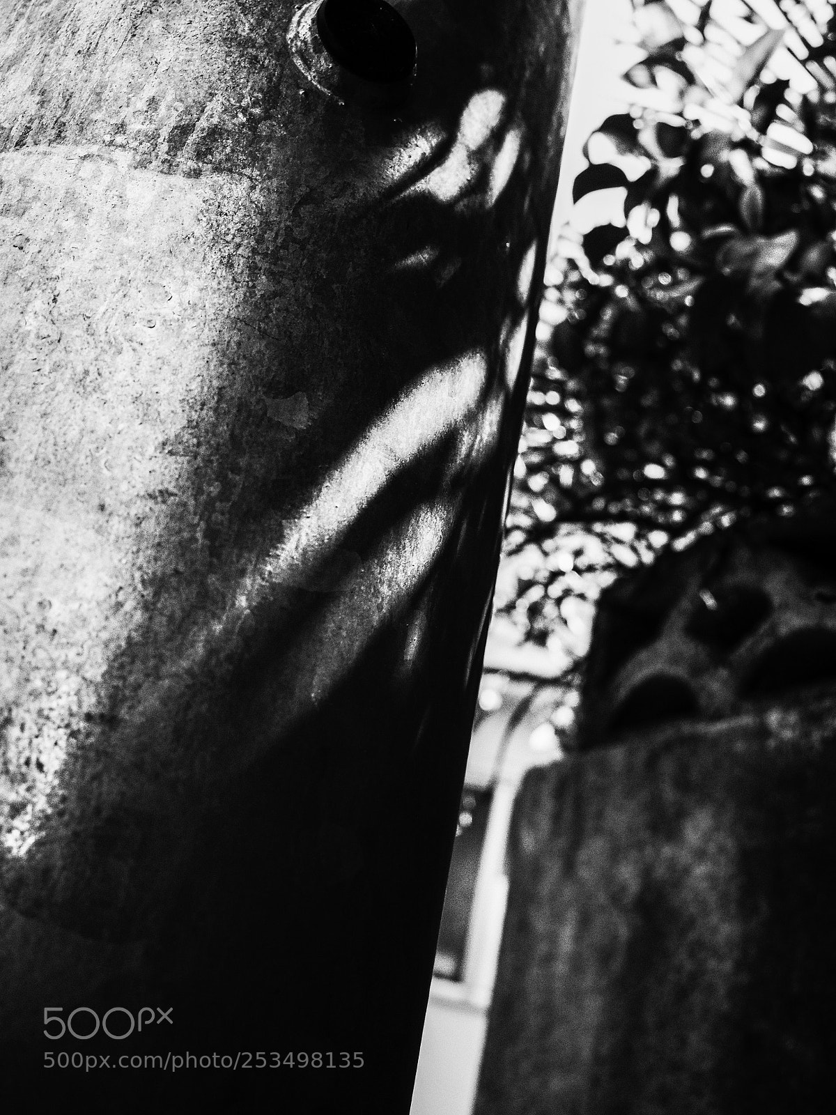 Ricoh GR II sample photo. Untitled photography