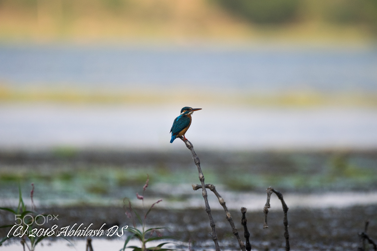 Nikon D5300 sample photo. Untitled photography
