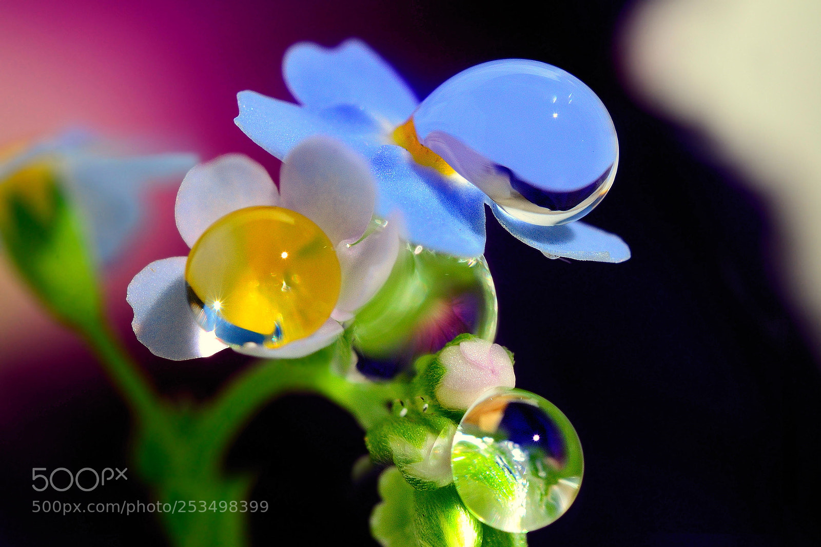 Nikon D3100 sample photo. Amber, sapphire, amethyst and photography