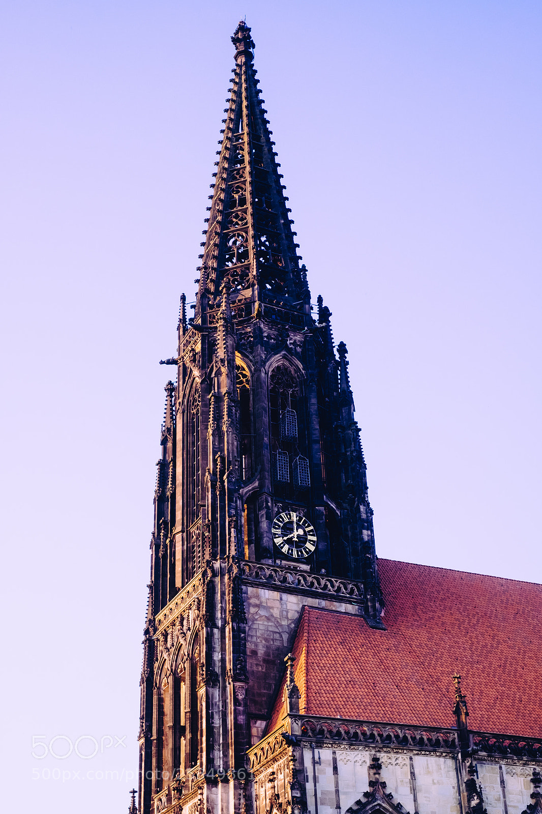 Fujifilm X-T1 sample photo. Close up of the photography