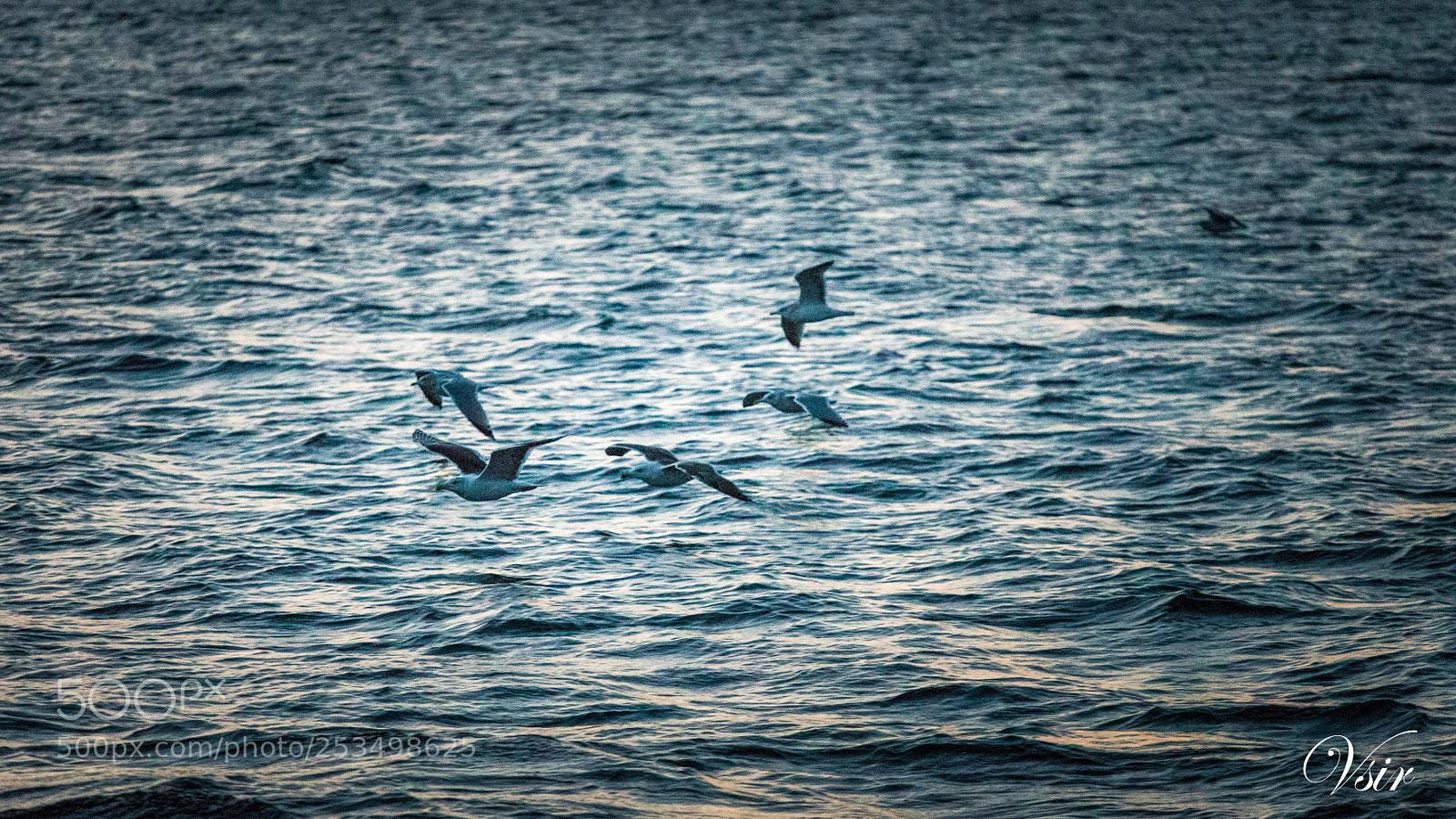 Canon EOS-1D X sample photo. Untitled photography