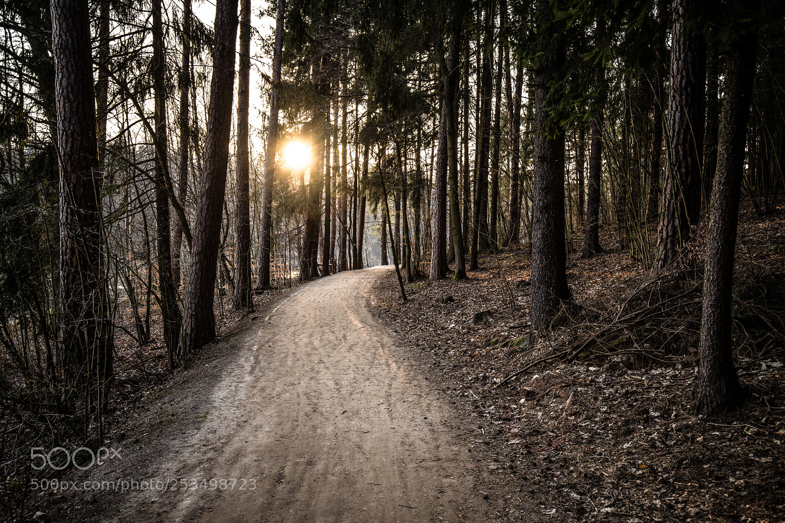 Canon EOS 6D Mark II sample photo. Spring 2018 photography