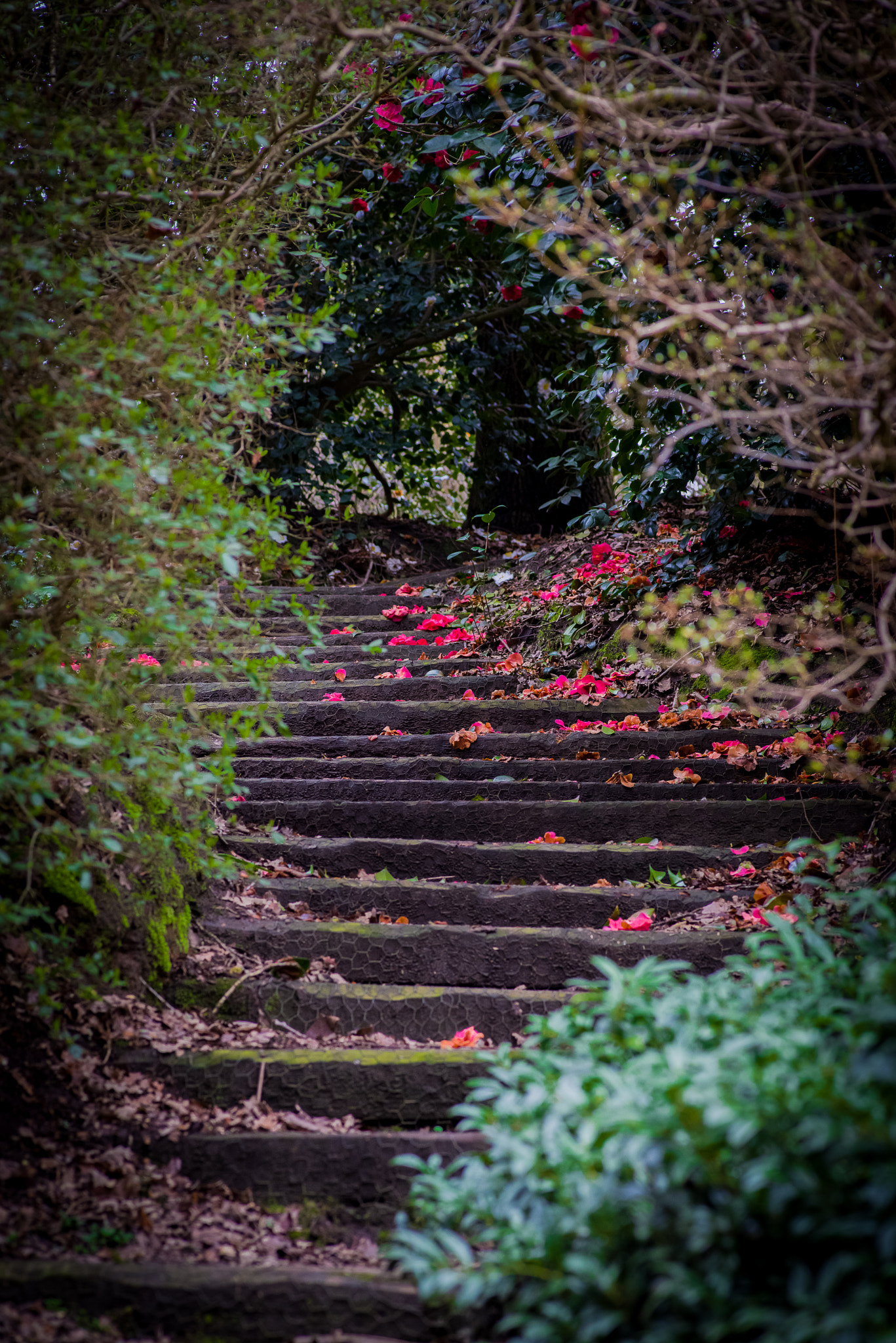 Pentax K-1 Mark II sample photo. Stairs photography